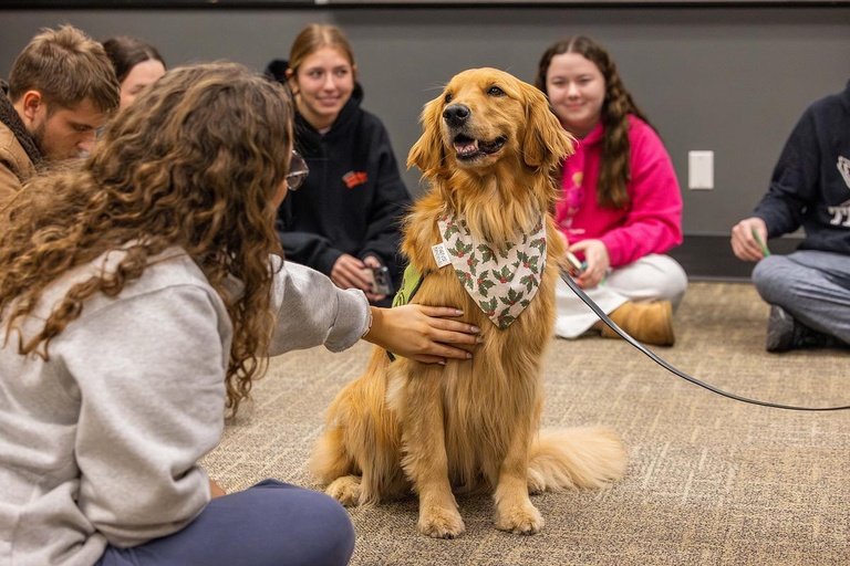 Students spend time with therapy dogs during Finals at IMU.