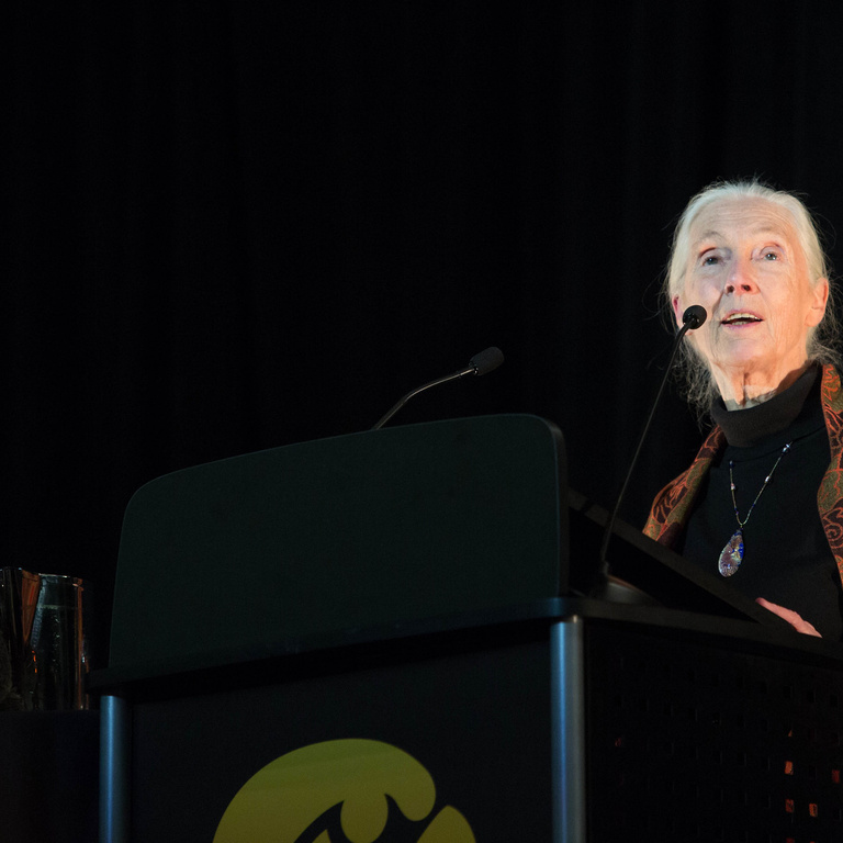 jane goodall