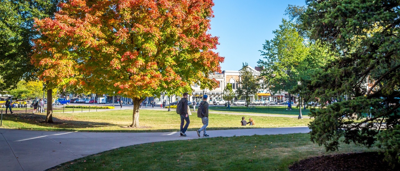 A view of campus during the fall with trees containing red leaves