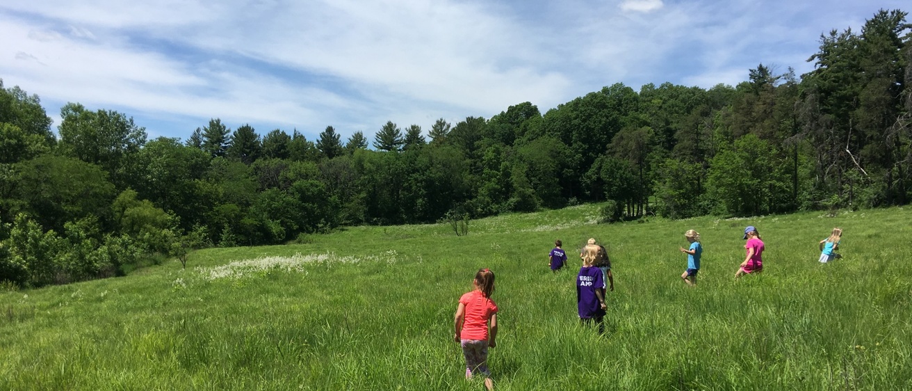 Children walking in some tall grass