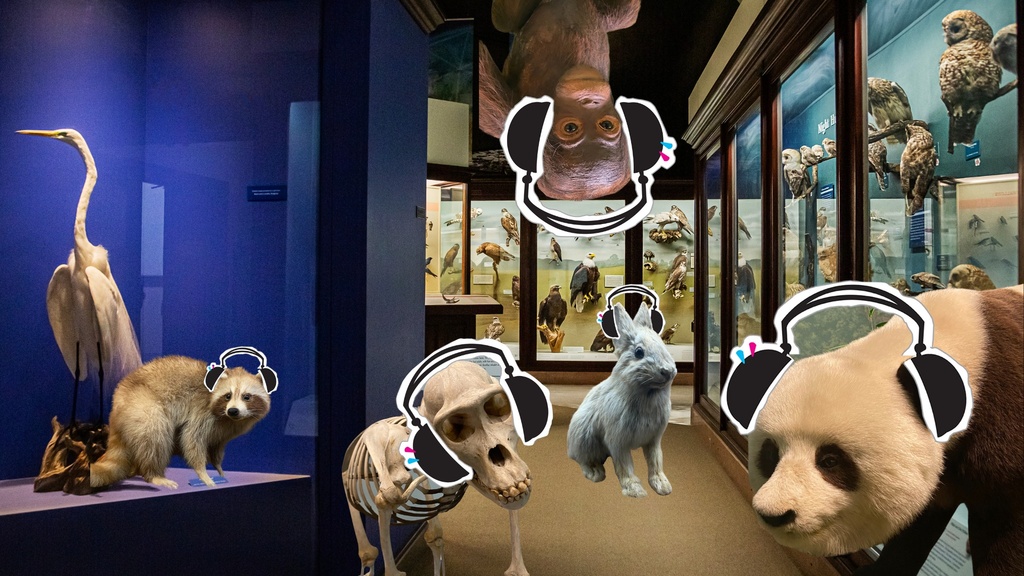 Silent Disco @ the Museum promotional image