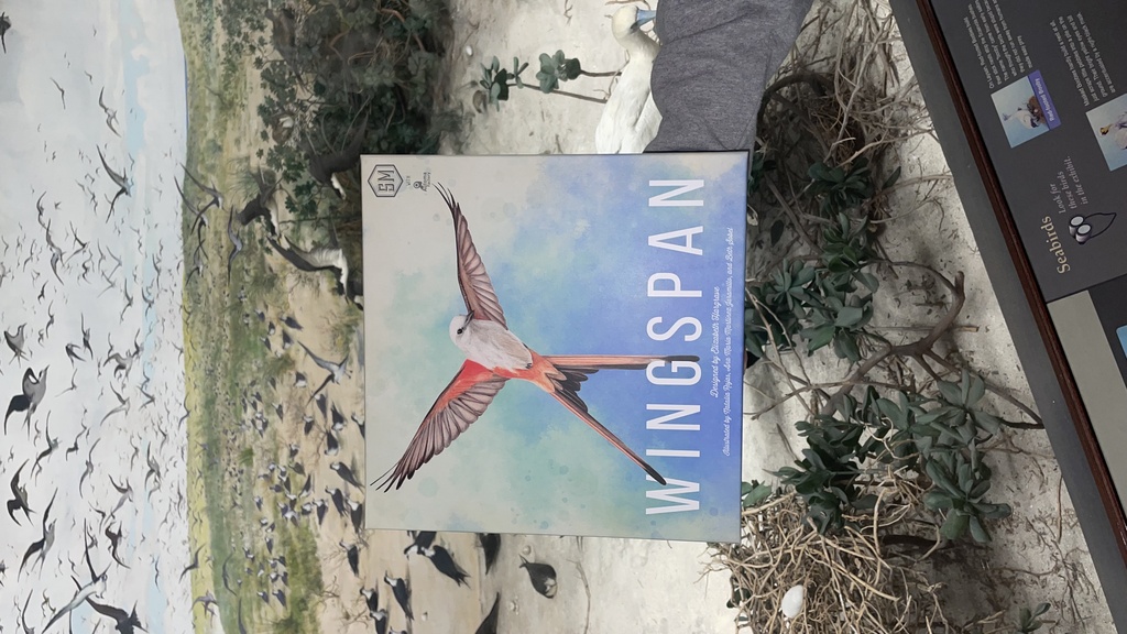 Wingspan in Bird Hall promotional image