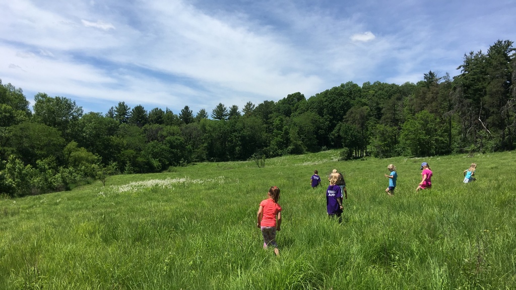 Children walking in some tall grass